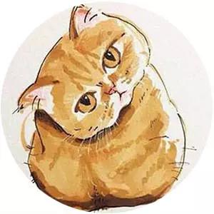 猫抑郁症吃什么,猫是治疗抑郁症的良药