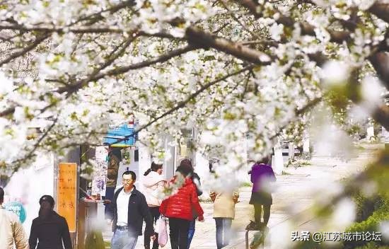 台湾学生拍电影,台湾学生南京