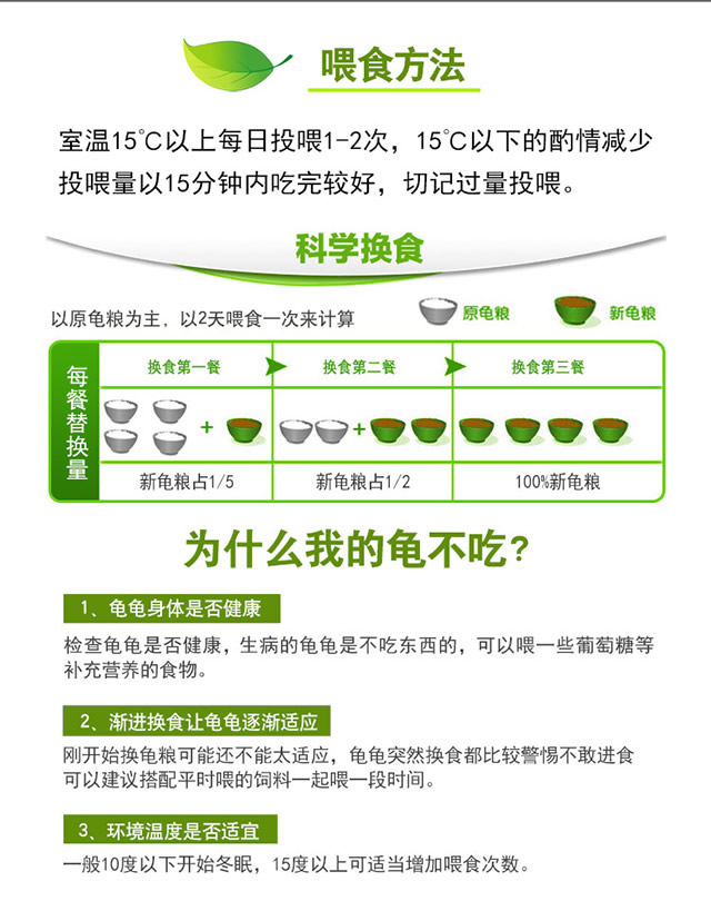 小乌龟怎么饲养龟粮喂多少,乌龟喂龟粮多久喂一次食物