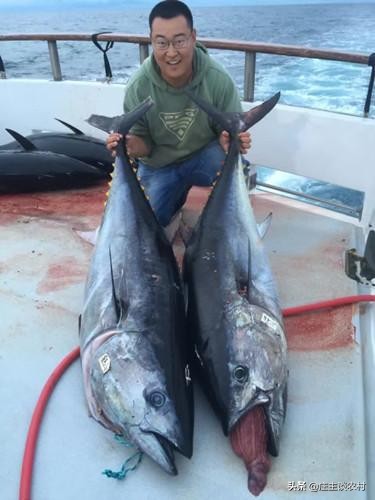 十大顶级土豪食材,世界最昂贵的十大食材排行榜