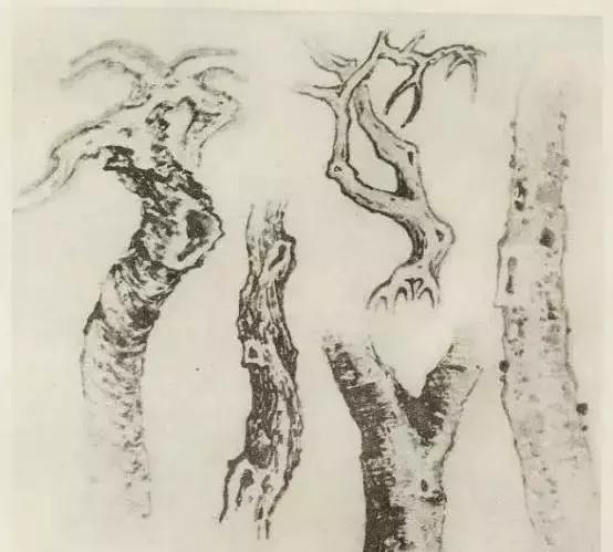 怎么画树最简单而且还最好看,怎么画树才更真实