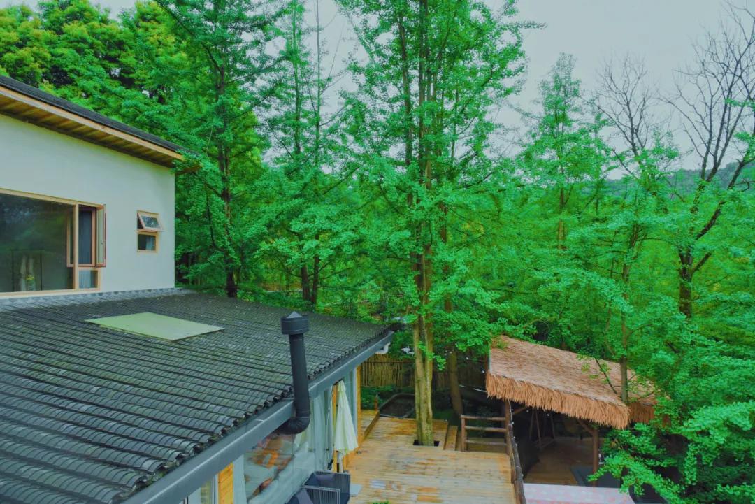 溪溪家儿时山谷民宿,溪溪家独栋院子