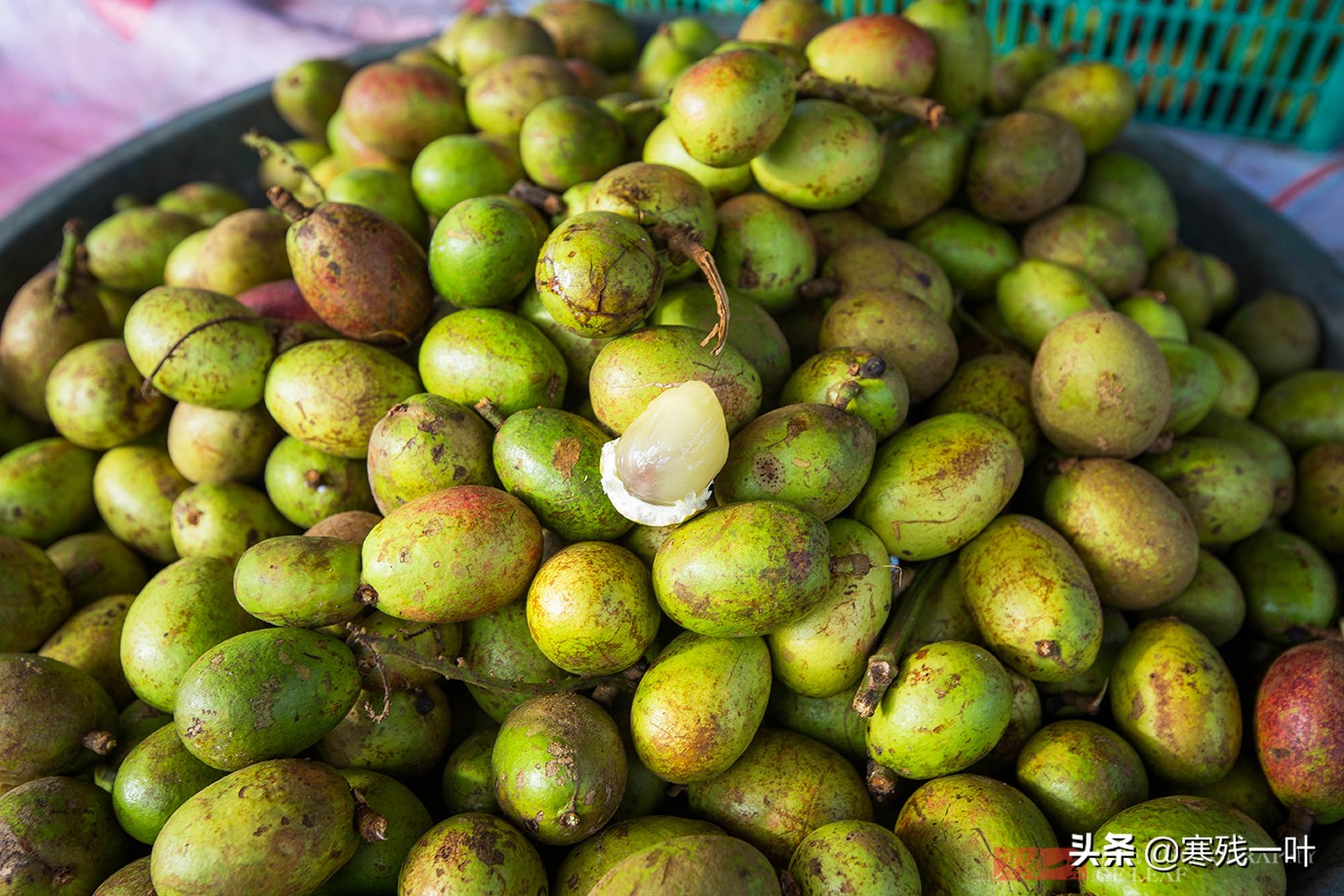 印尼美娜多土特产,印尼美娜多动物菜市场