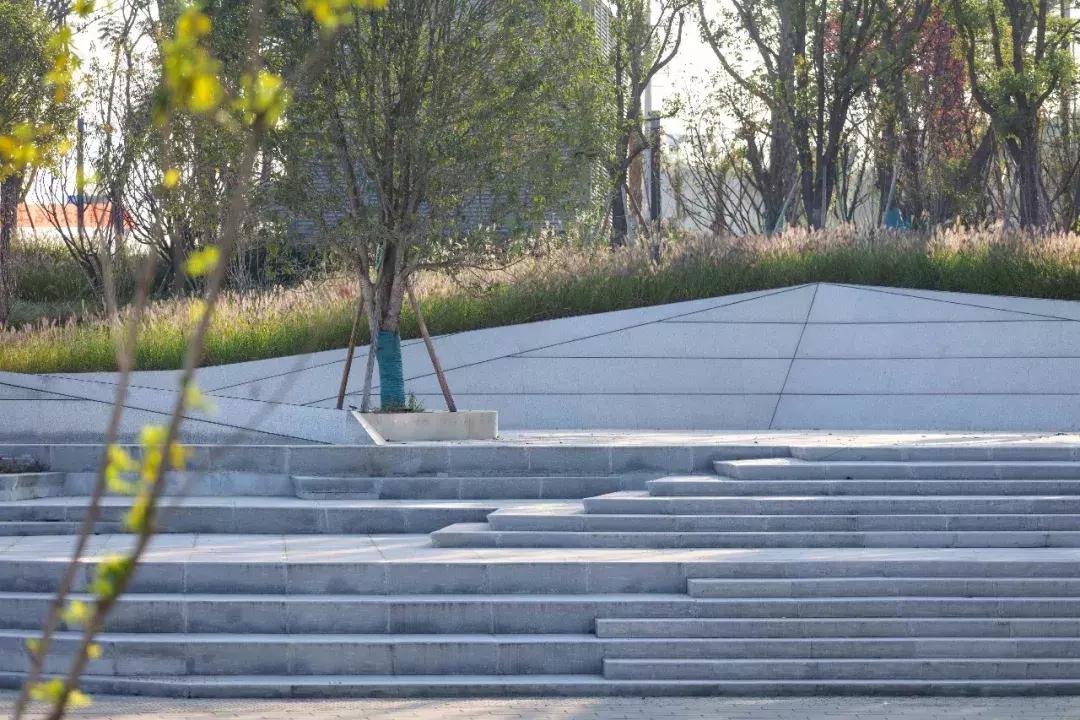 两江悦来生态城,重庆市两江悦来生态城