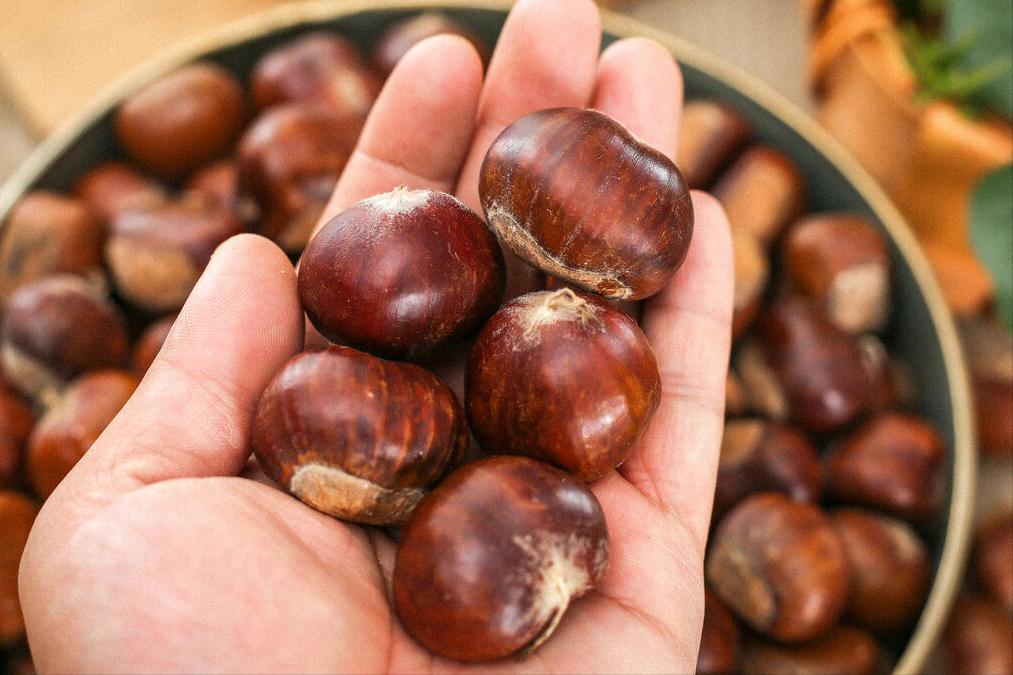 炖鸡肉别直接焯水教你正确做法,鸡肉怎么炖不柴不老需不需要焯水