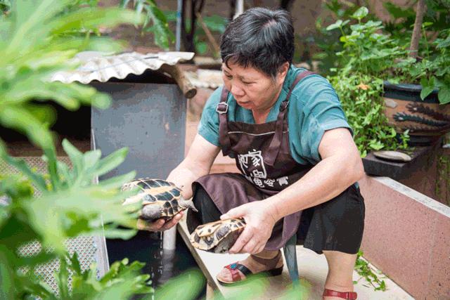 最火的网红甜品简单易学颜值高,低成本简单网红爆款甜品