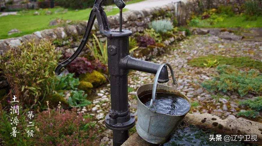 大暑酷热,大暑蝉鸣声