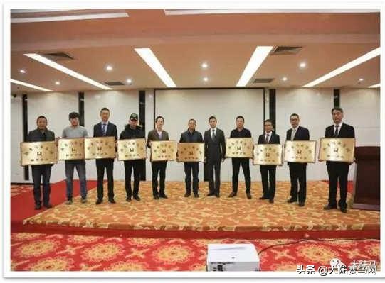 燕龙马业一匹温血马多少钱,国内繁育温血马