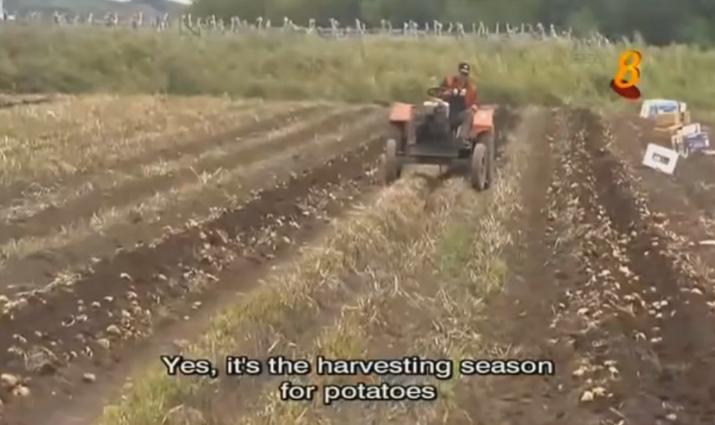 在俄罗斯备受青睐的中国商品,俄罗斯商品在中国很受欢迎