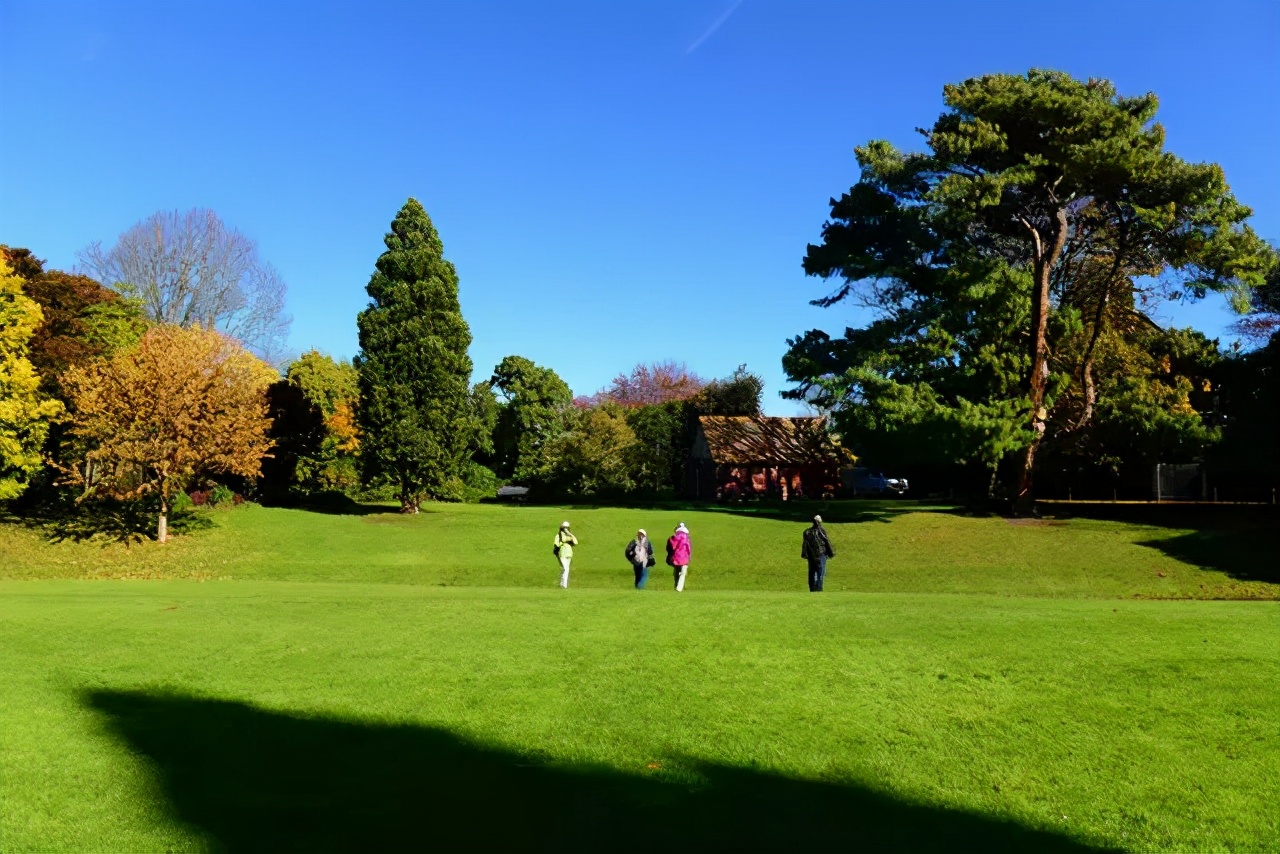 新西兰旅游地标图片,探寻新西兰基督城的英伦风情