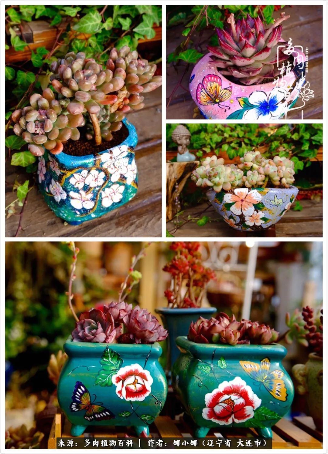 你是盆我是花，你护我周全，我为你绽放