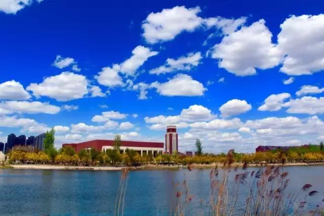 辽宁中医药大学杏林学院规模,辽宁中医学院杏林学院的排名