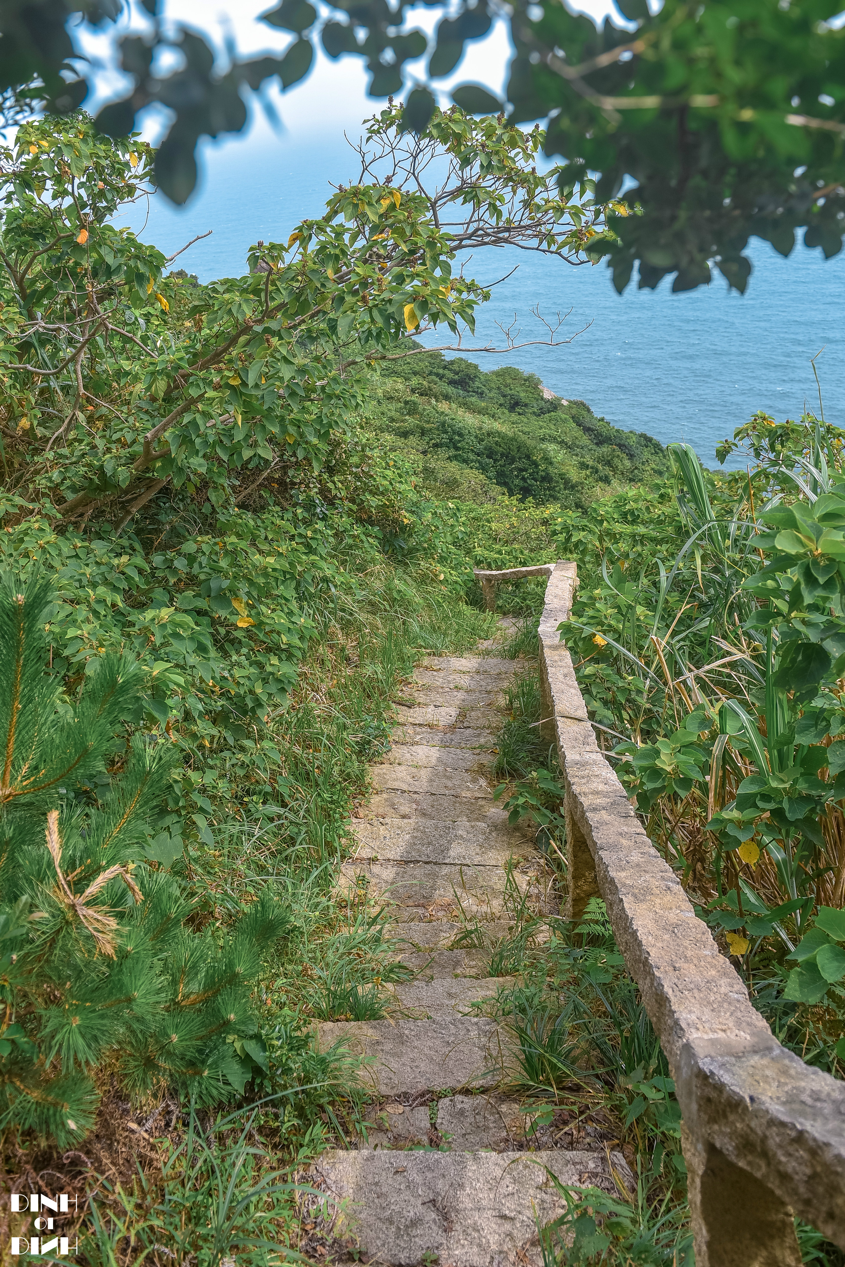 韩寒东极岛拍什么电影,韩寒东极岛之歌