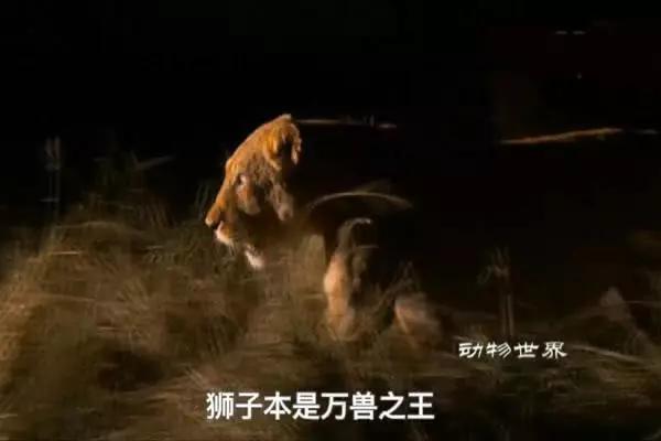 赵忠祥癌症逝世,赵忠祥生什么癌