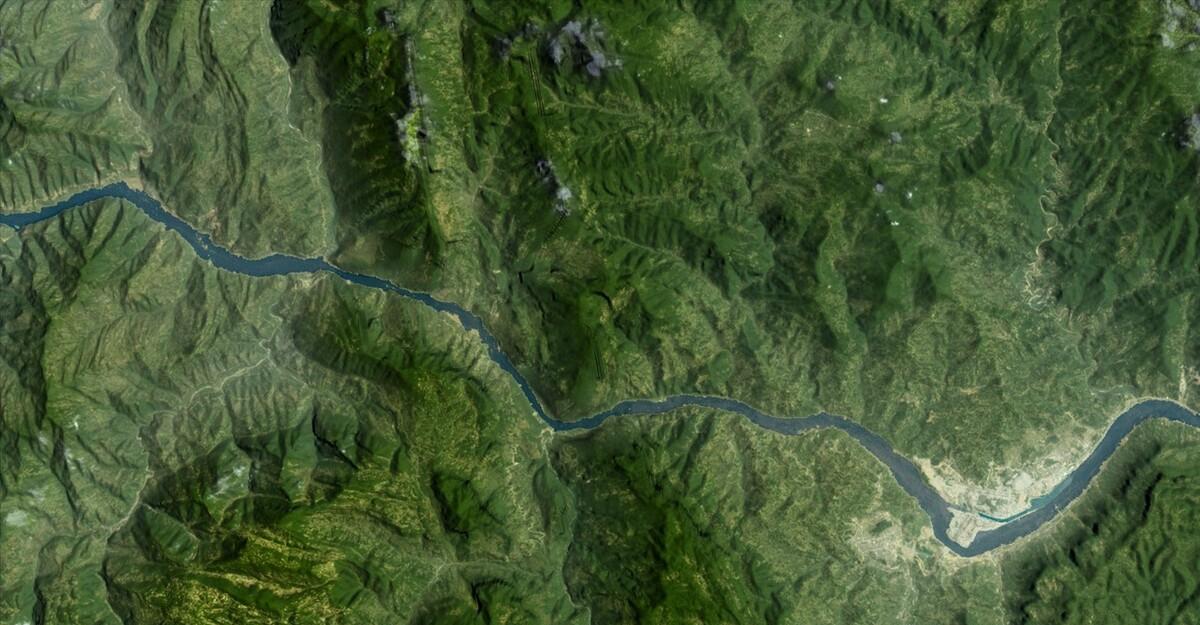 10℃是防线!非洲鲫鱼侵入三峡水库,6个月可繁殖1代,会泛滥吗?