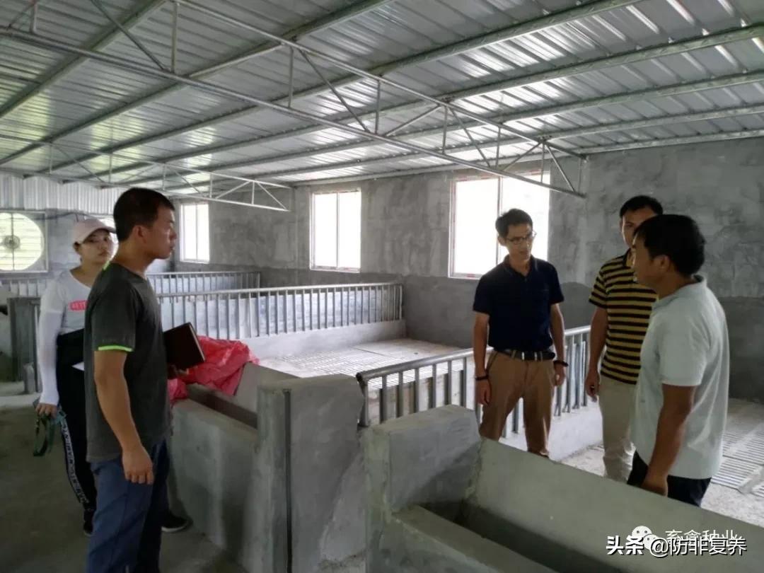 非瘟预防消毒,非瘟防控刻不容缓