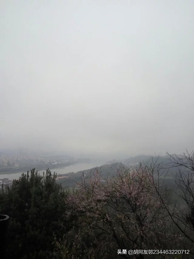 诡辩的基本含义,诡辩词语解释大全