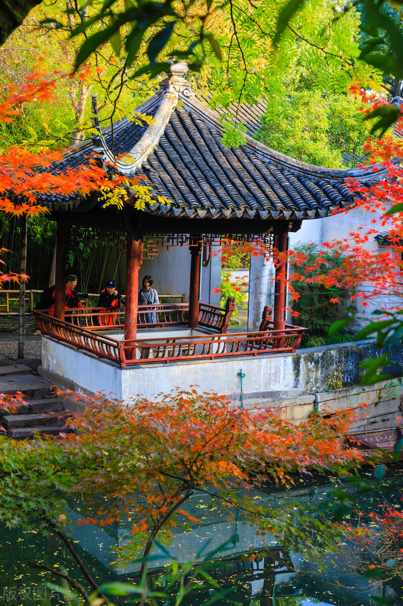 江南的秋天,温柔诗意,漫步姑苏城感受岁月静好,人间值得