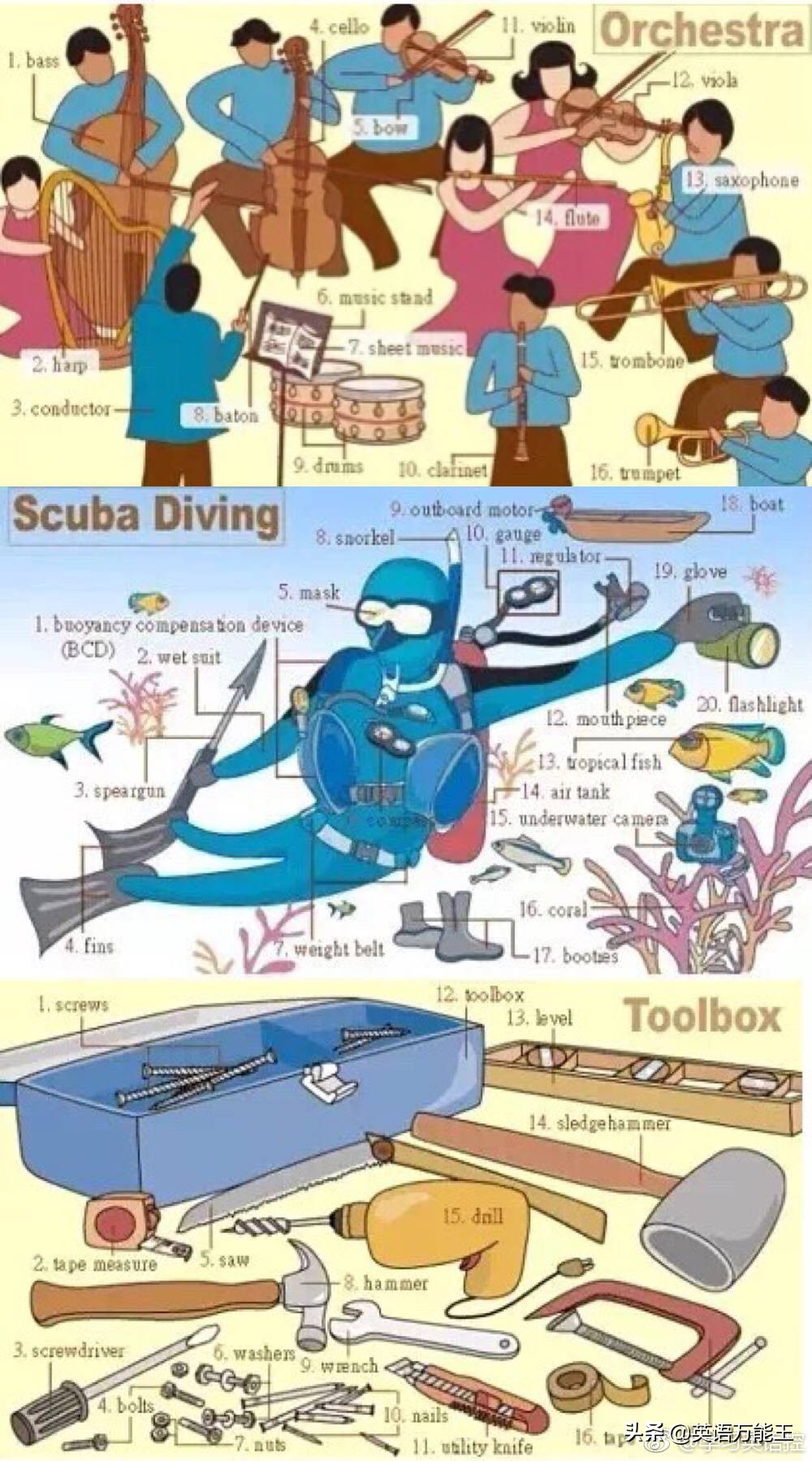 英语九宫格使用技巧,九宫格英语词汇表