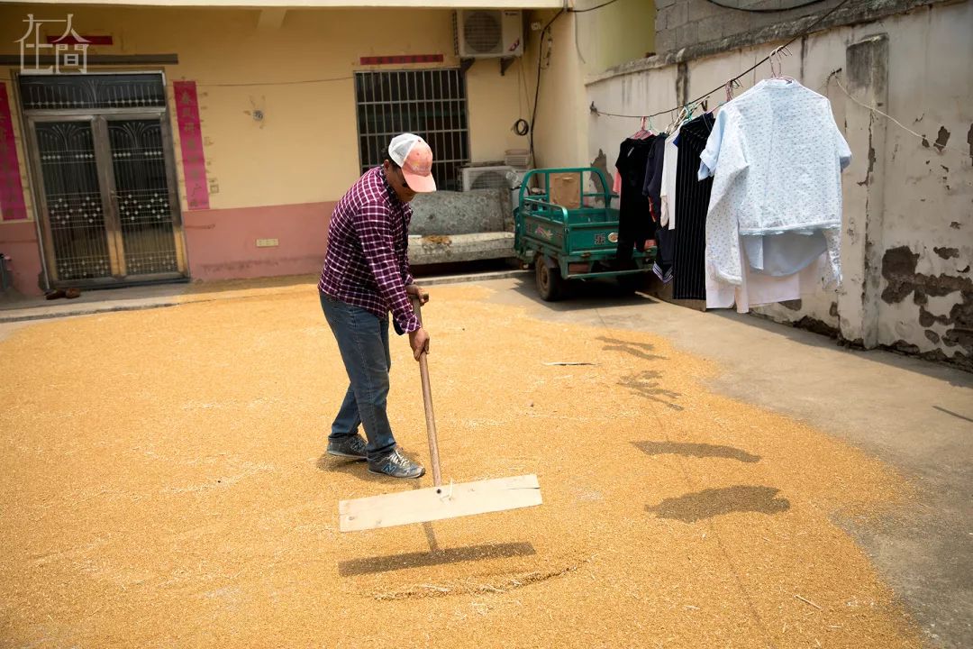 在人间丨情趣内衣小镇的乡村女工，每天往返于工厂与田地之间