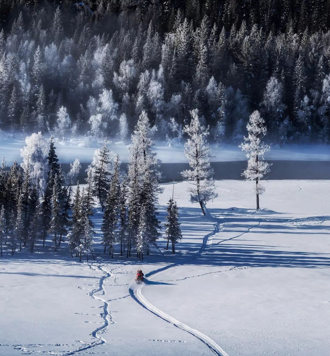 鍫瘮鐟炲+鐨勪腑鍥芥粦闆満,濯茬編鐟炲+