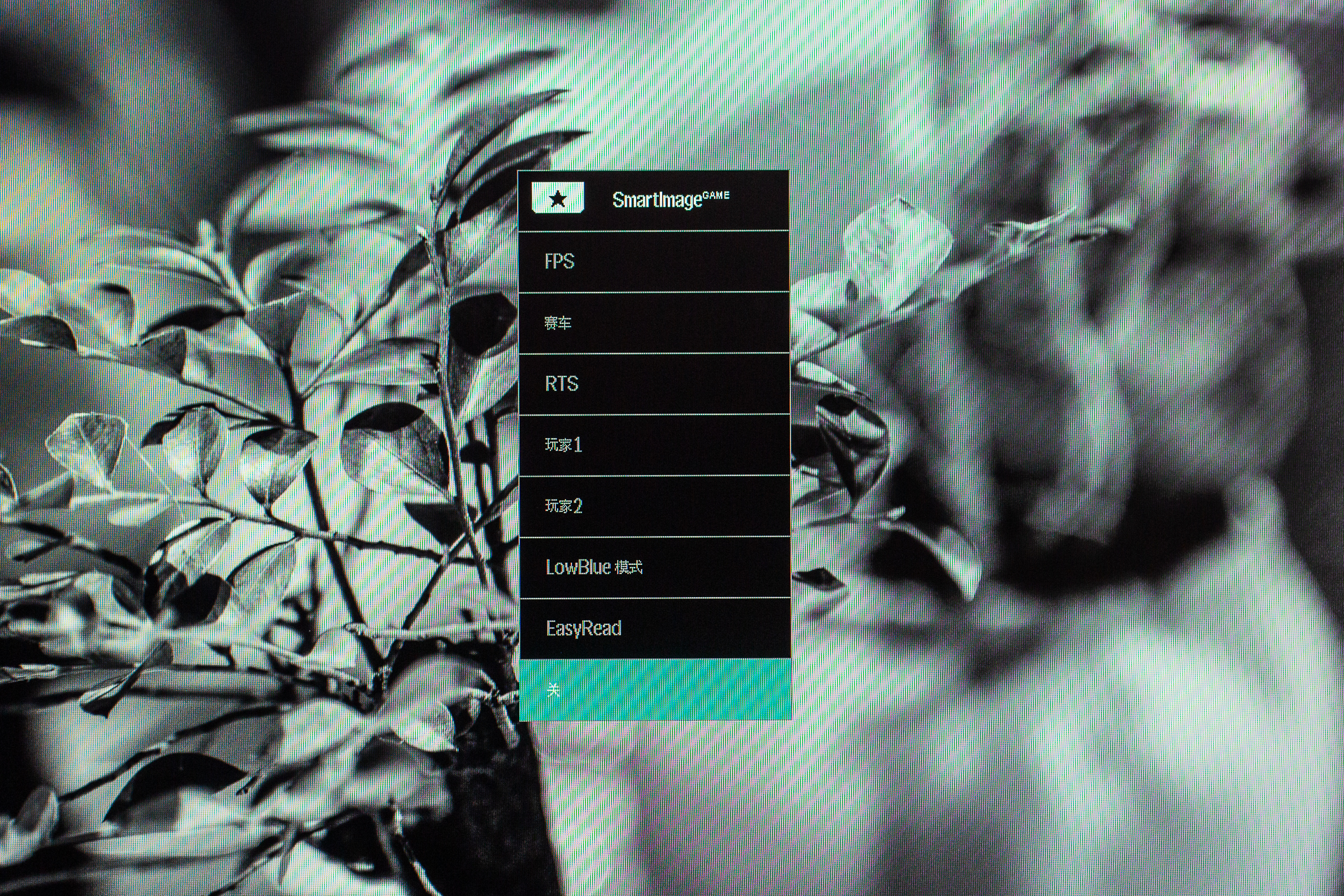 飞利浦显示器275e9色域测评,飞利浦238e9q显示器评测