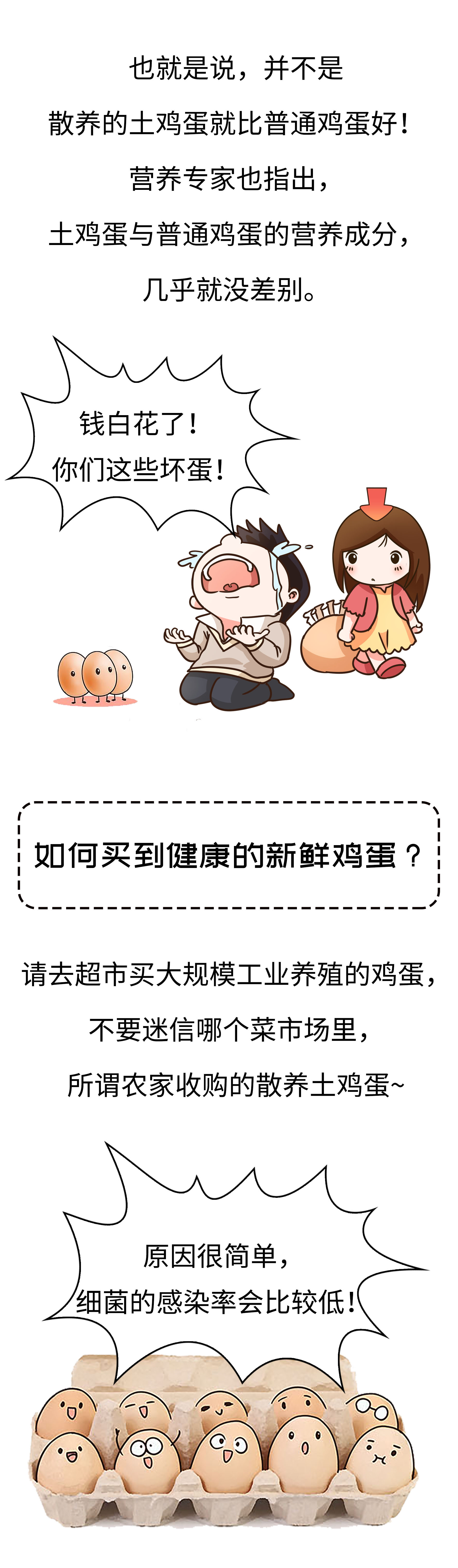 高价格，假广告，毒饲料，如何避免吃到不靠谱的鸡蛋（菲李漫画）
