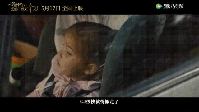 狗狗的第二次重生怎样取名字,狗狗轮回的一生