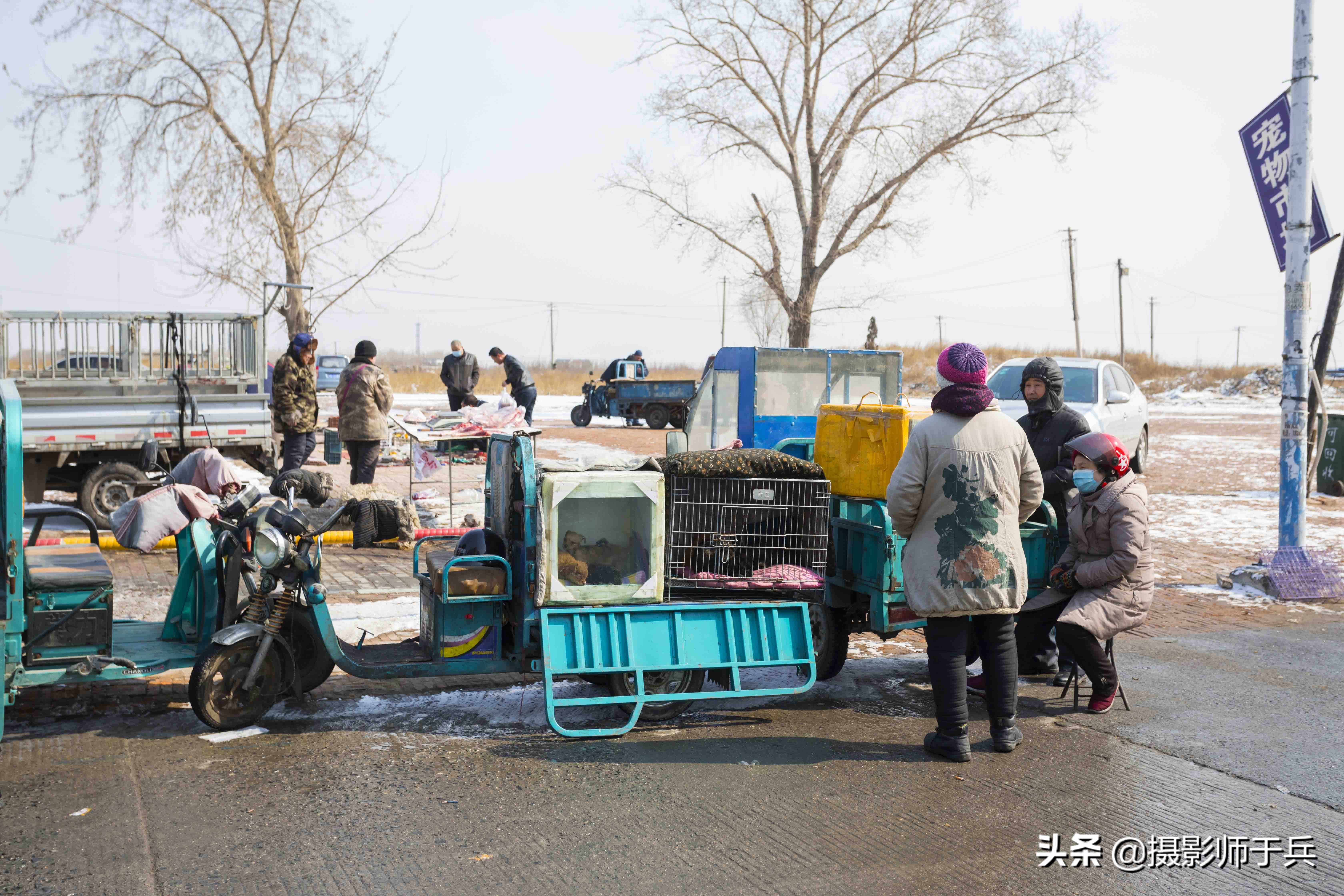 绥化安达狗市,黑龙江省绥化故事之一