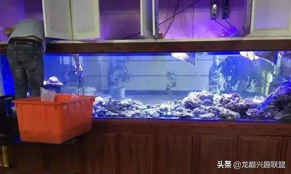 楸肩几濡傛璞皵,楂樼楸肩几椴ㄩ奔