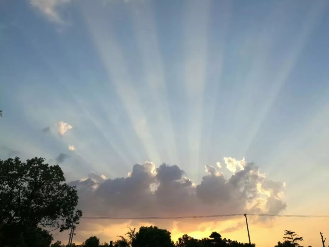 【检察战“疫”】一名检察院书记员和4500只口罩的故事