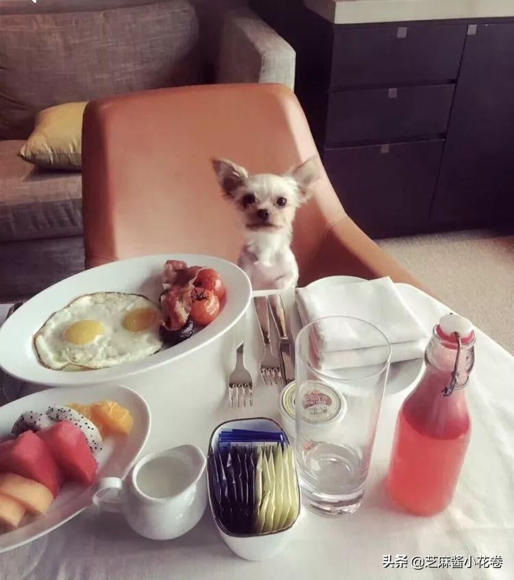 凡尔赛文学其实无处不在,凡尔赛文化盛行