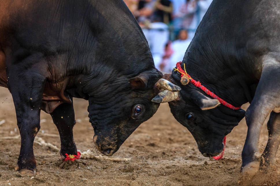 如何管理倔强的员工,怎么管理脑子简单的员工