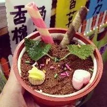 苏州网红店地址,苏州网红店美食餐厅打卡