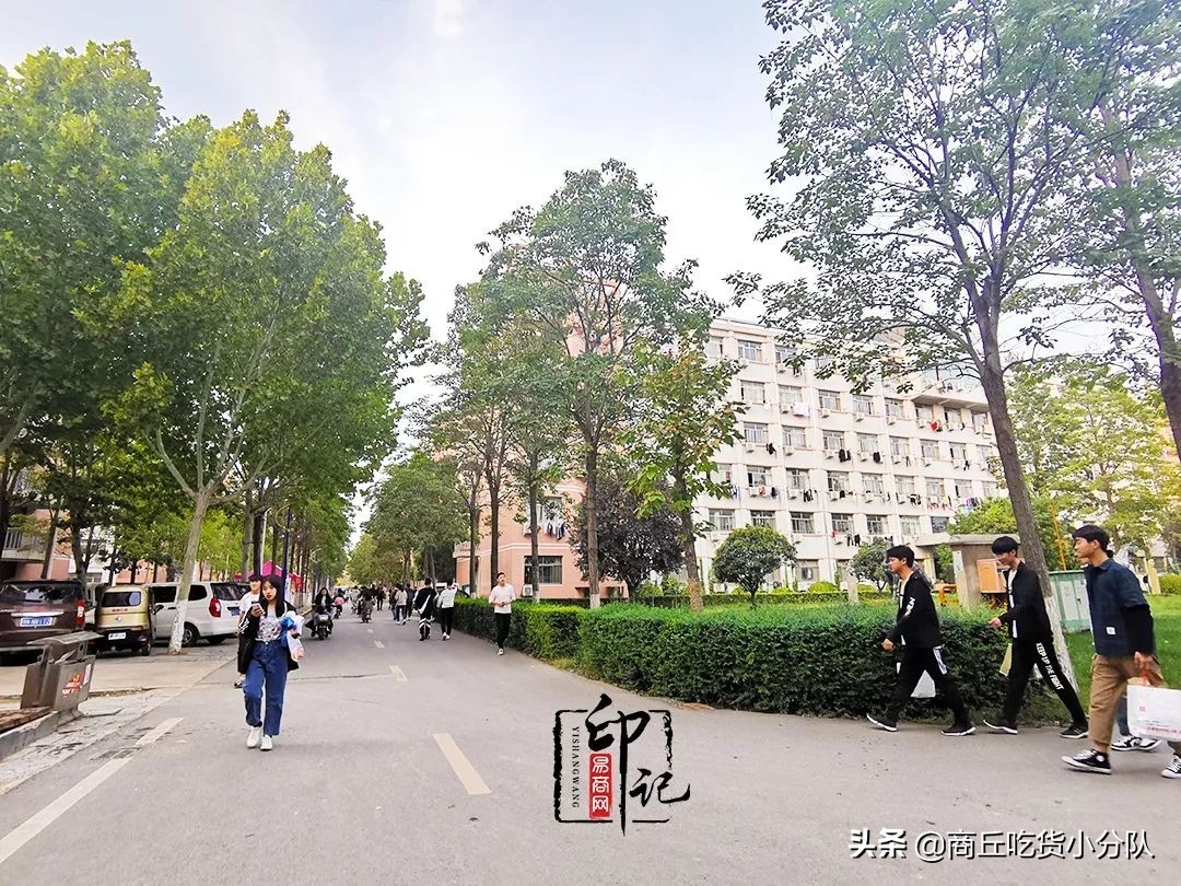 商丘师范学院里面的文化底蕴,在商丘的真实感受