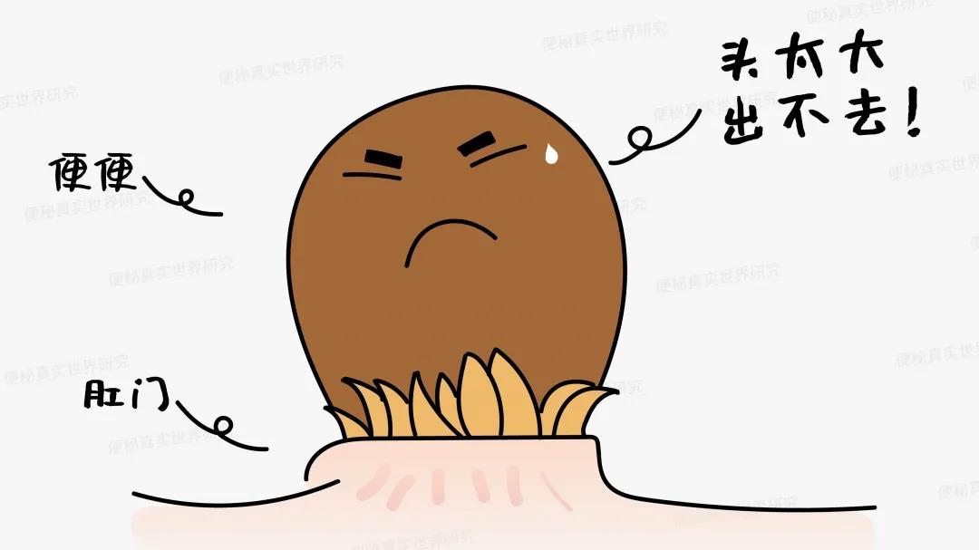 菊花痛的几个等级，反映出6种不同的肛门疾病