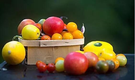 食行生鲜供货模式,食行生鲜衰落后续