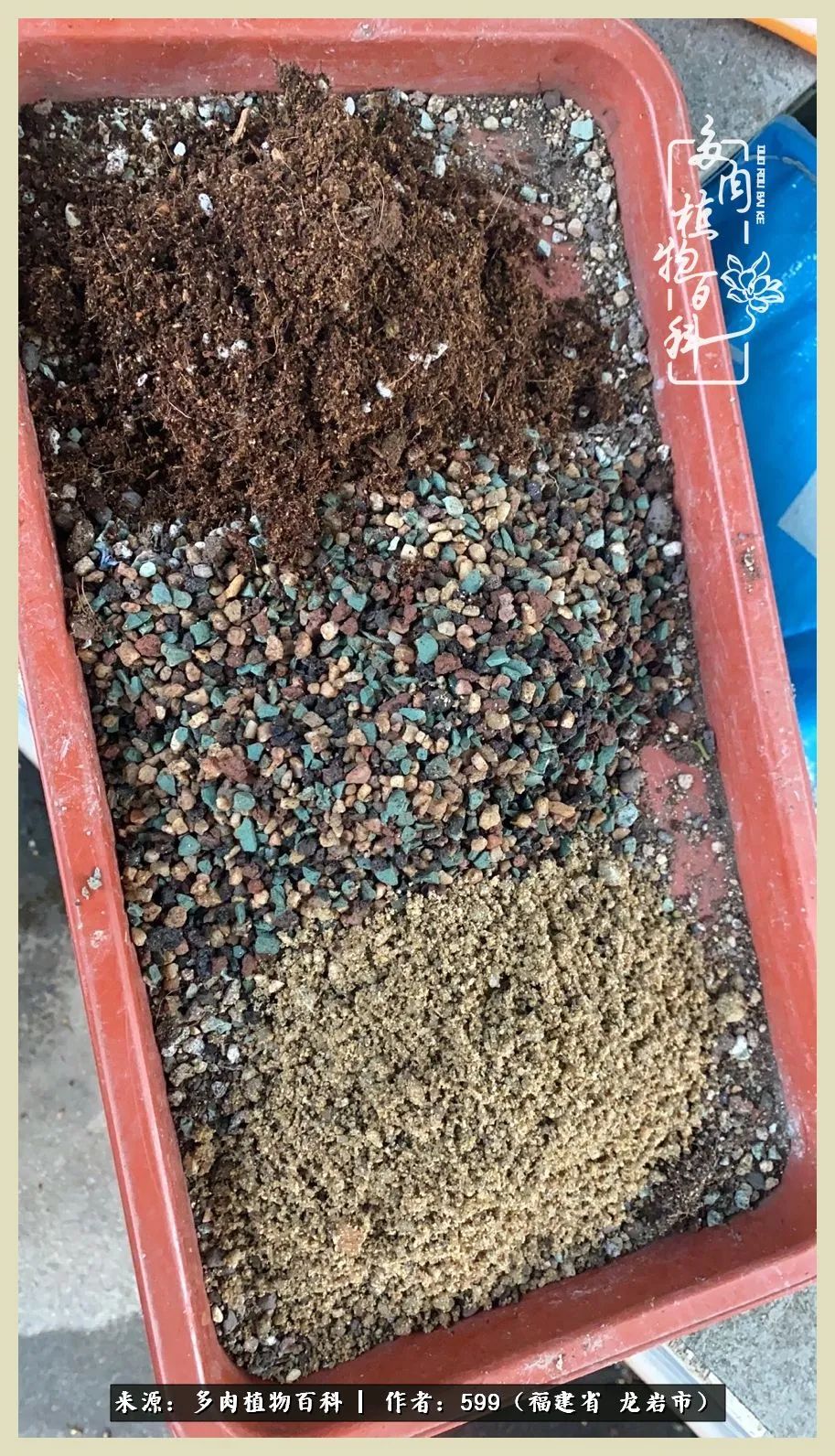 所有的热爱都不遗余力,所有的忙碌都是因为热爱