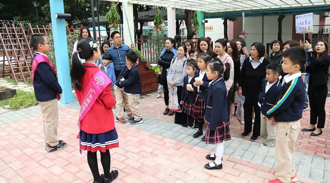 你好，碧桂园小学！初次见面请多指教！