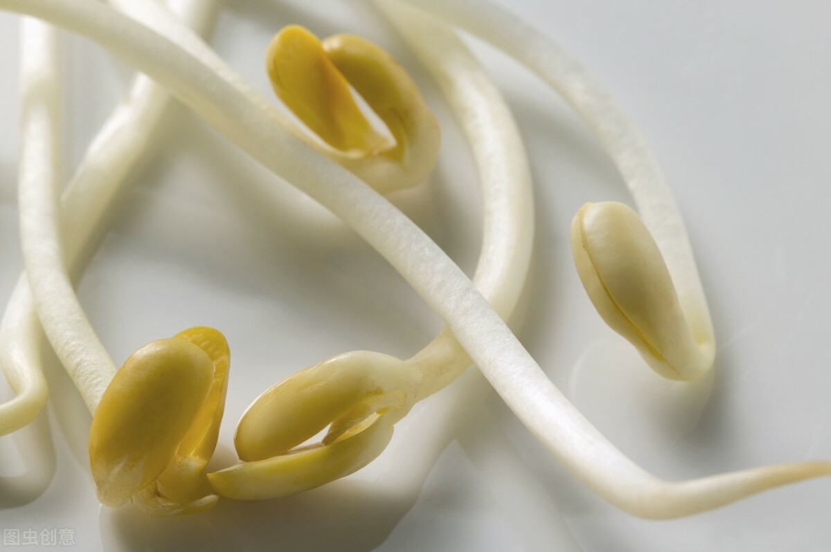 月子餐黄豆芽汤怎么做好吃,月子餐黄豆芽炒肥牛