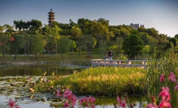 厦门上榜新一线,厦门进入一线