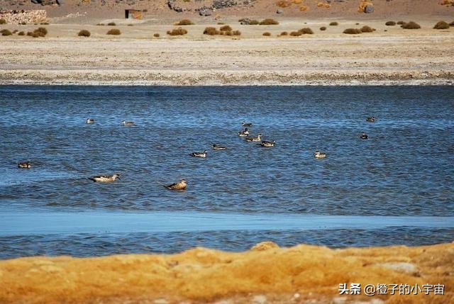 智利沙漠五指山图片,智利五指山的真实生活