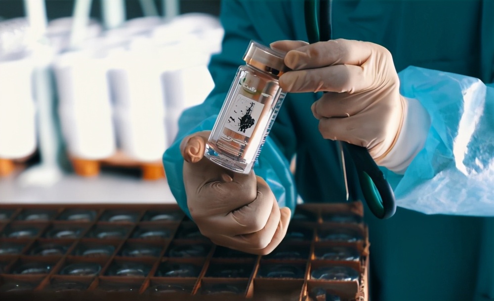 西伯利亚入夏火灾频发中俄白桦茸企业启动原料保障计划