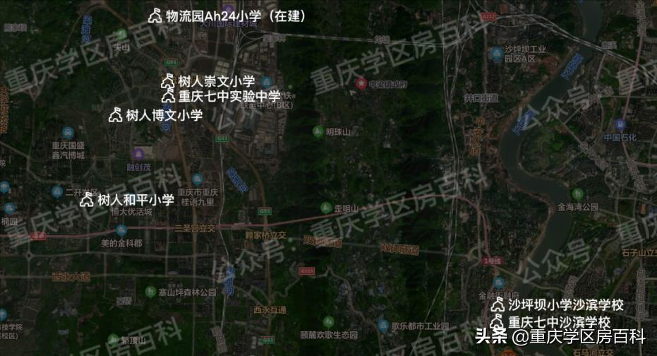 沙小、树人、七中！来看沙坪坝如何布局教育资源