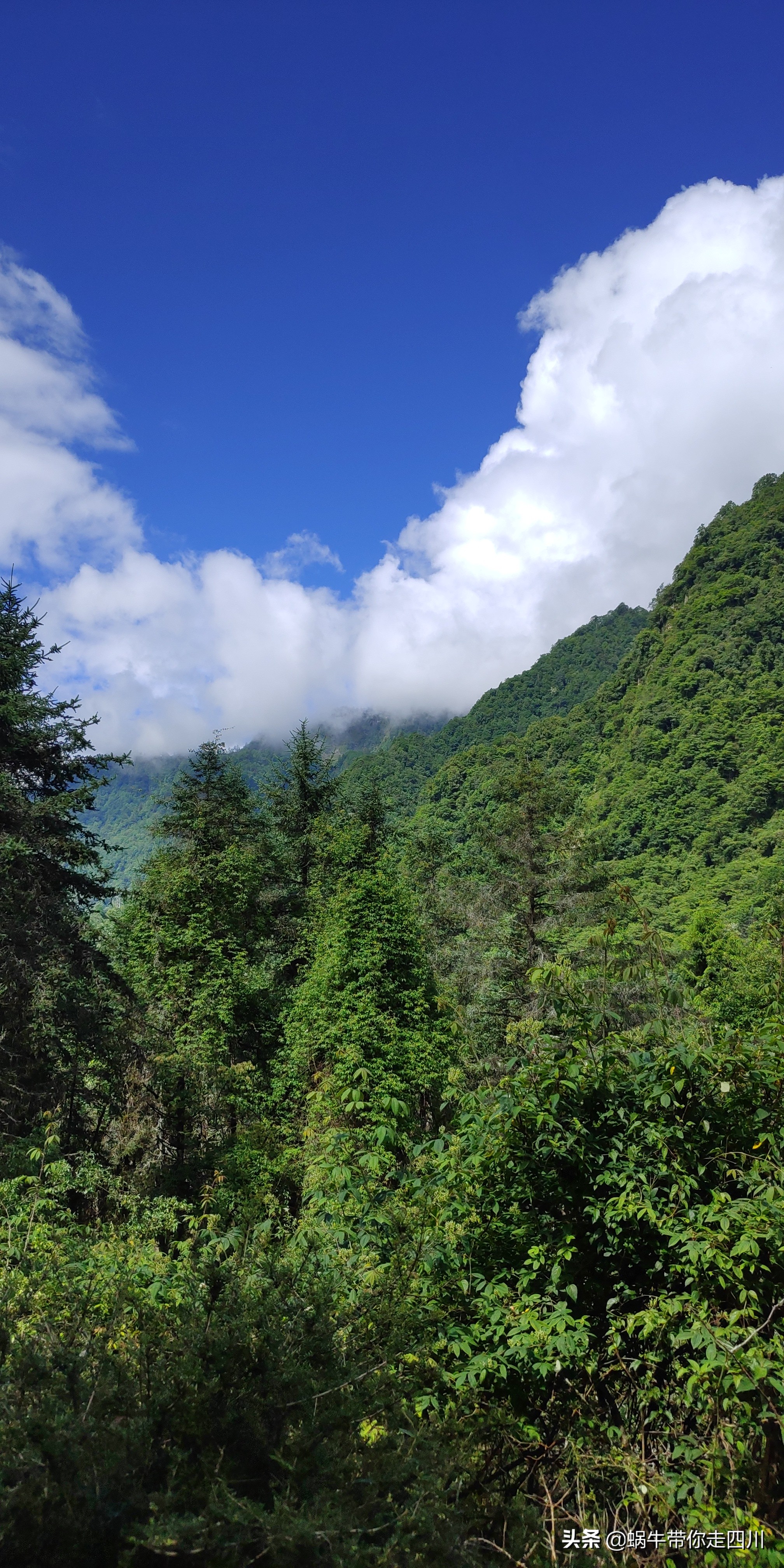 一家三口重庆到拉萨旅游攻略预算,一家三口成都去拉萨大概要多少钱