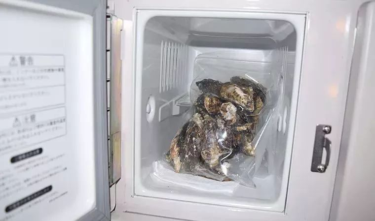 卖金鱼、卖昆虫、卖习题?!日本的自动贩卖机,脑洞突破天际