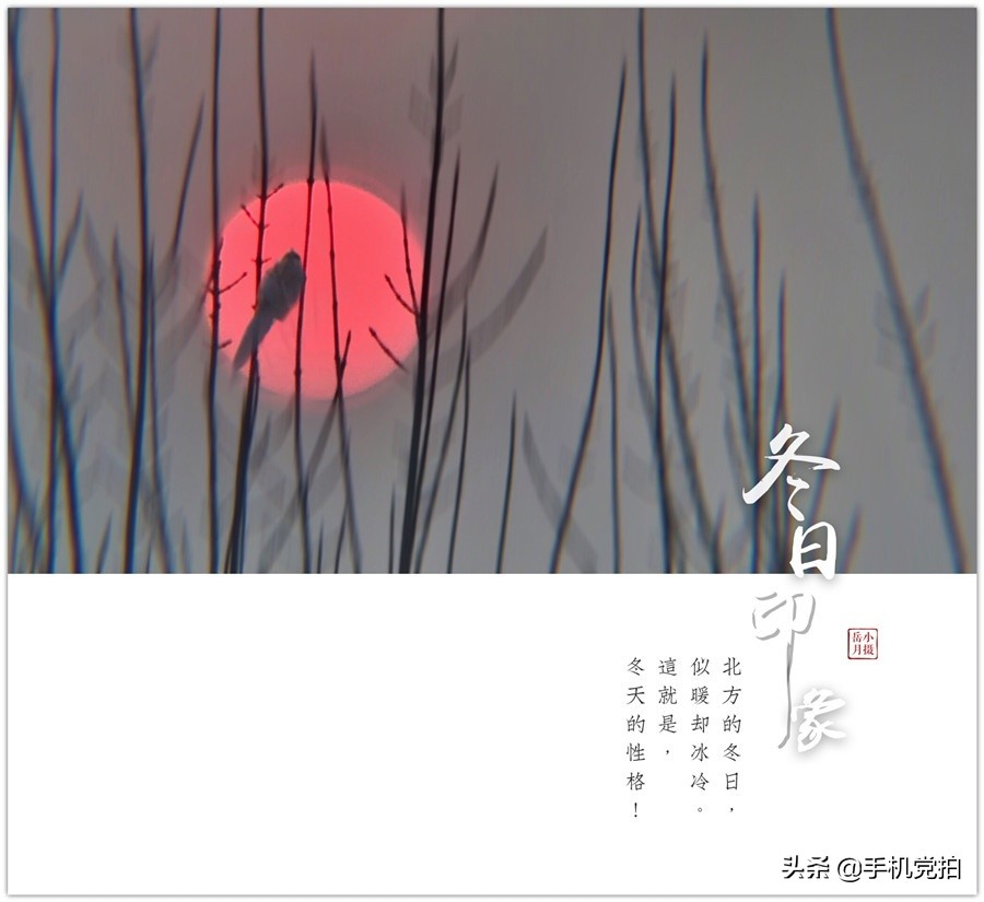 手机图片复古印章制作,给照片加复古小印章