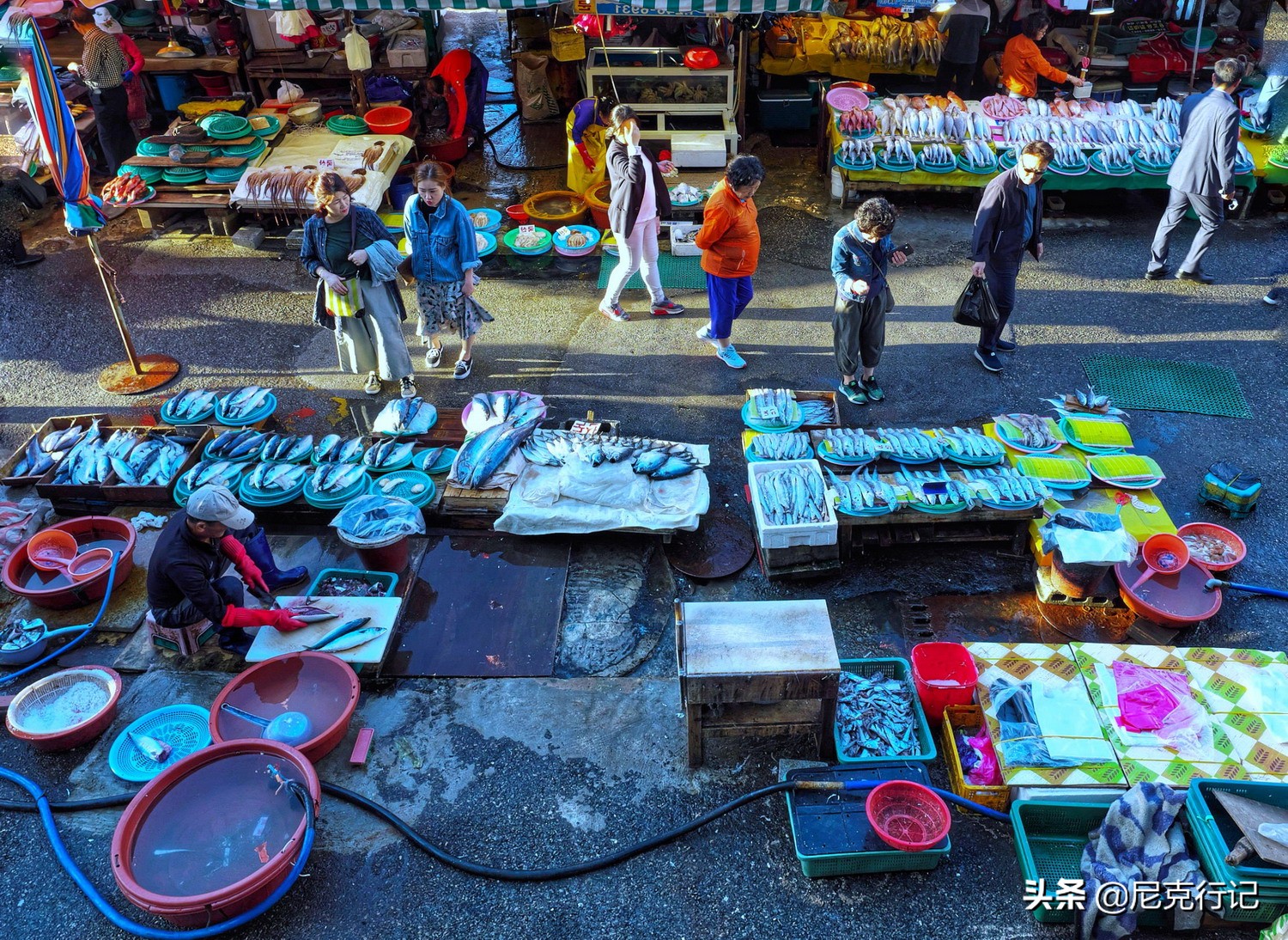 韩国弹丸之国,韩国弹丸之地为什么经济这么强