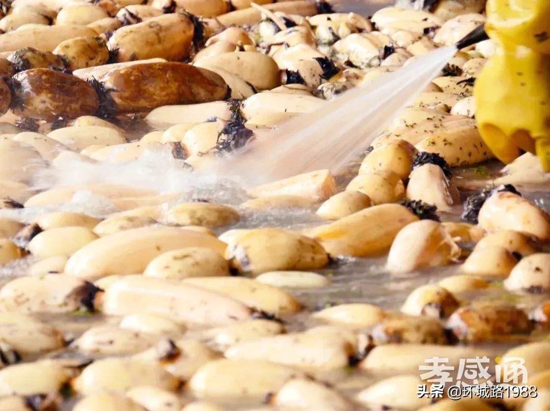 未来可期！向你展现不一样的毛陈