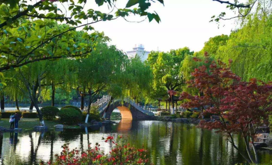 宁波踏春游玩,宁波春游推荐